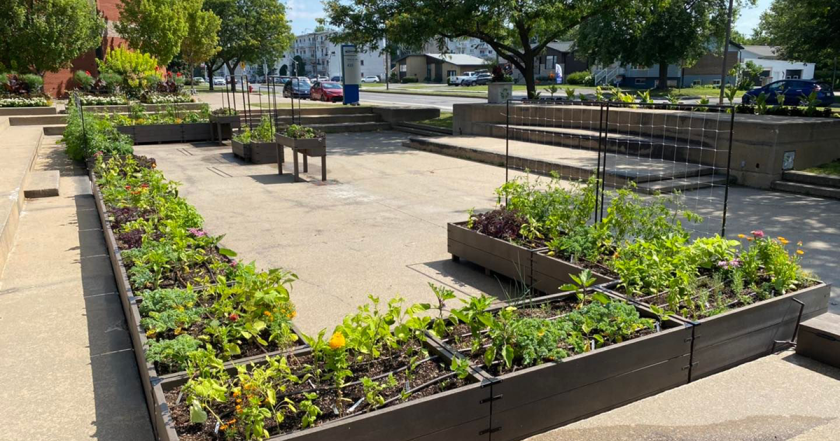 potager urbain universel