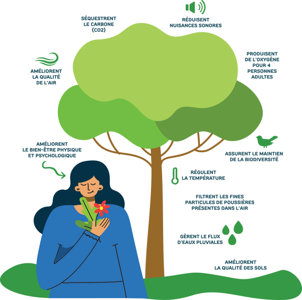 Transition écocitoyenne - Pourquoi planter un arbre