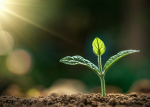 La permaculture