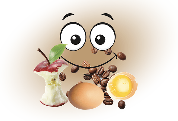 Alternatives bac brun - Écolo