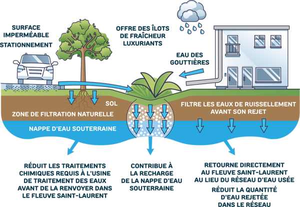 Transition écocitoyenne - Schéma biodiversité urbaine