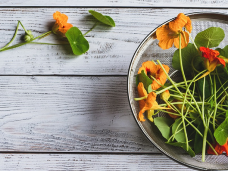 Fleurs dans votre assiette