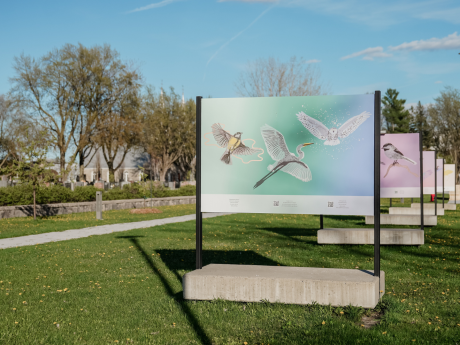 Exposition extérieure devenir chez nous