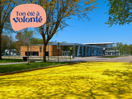 Allée jaune