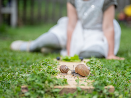 Course des escargots