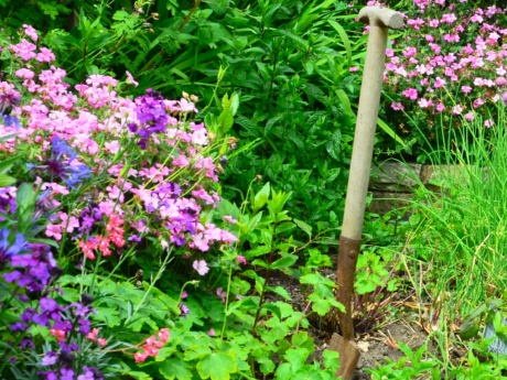 Conférence : Les jardins de pluie