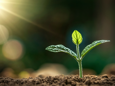La permaculture