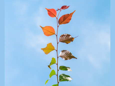 Vivre au rythme des saisons